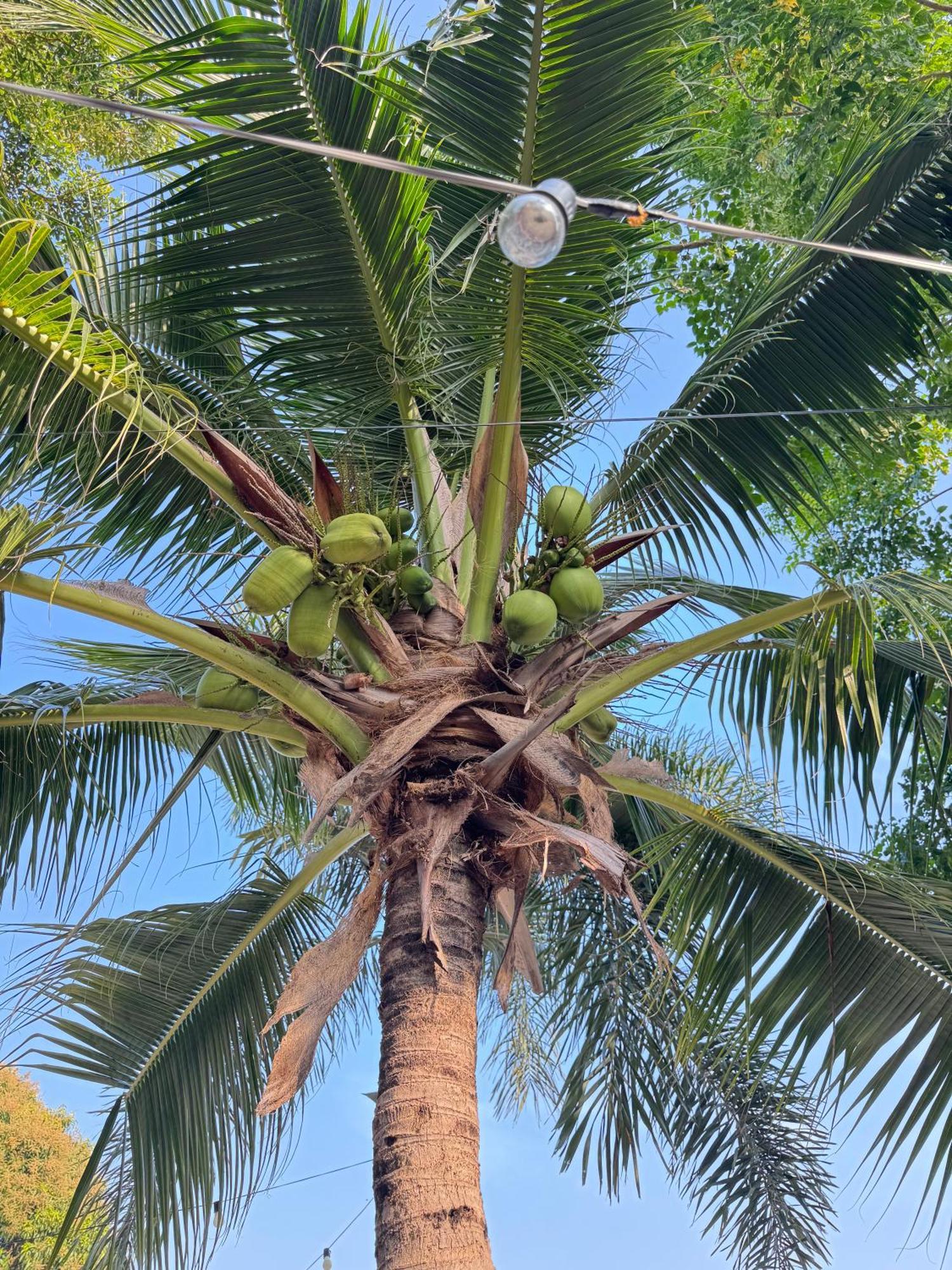 Rang Noknoy Resort At Kohlarn 外观 照片
